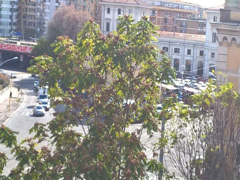 Elegance Scalini Di Trastevere Rzym Zewnętrze zdjęcie